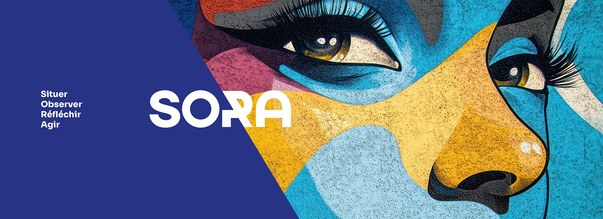 SORA — Situer, Observer, Réfléchir, Agir